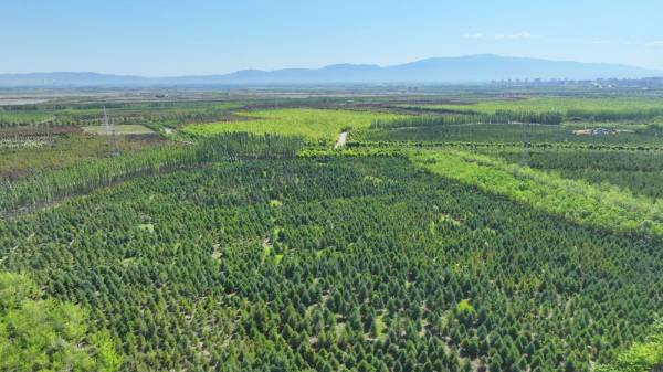 1753927045664378.jpg 3 (1).jpg