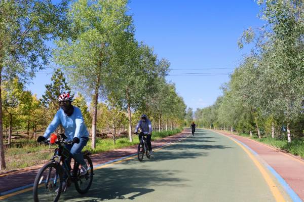 1753927078204761.jpg 5 (1).jpg