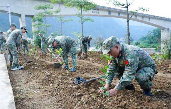 1753927322150645.jpg 3 (1).jpg