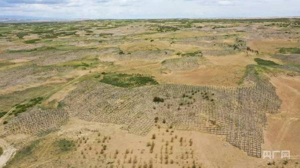 1754275709855295.jpg 2.jpg