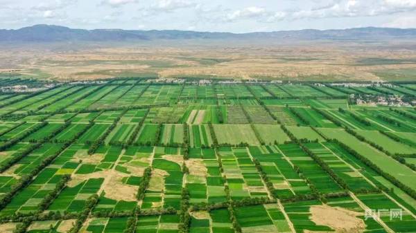 1754275729140302.jpg 4.jpg