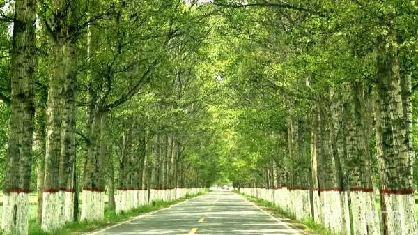 1754275738643710.jpg 5.jpg