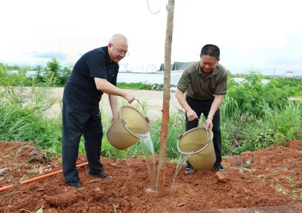 1754446182870160.jpg 6 (1).jpg