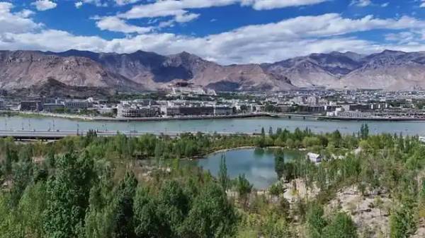 1754640663387581.jpg 1 (1).jpg