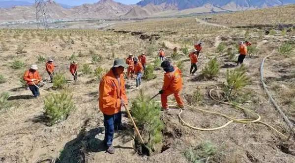 1754640684929700.jpg 2 (1).jpg