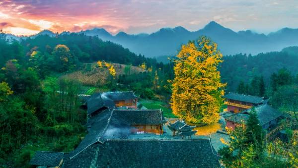 1754879805774929.jpg 3.jpg