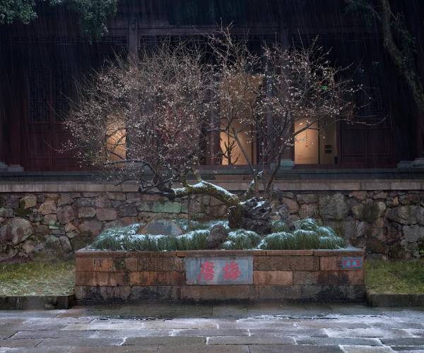 1754879873951606.jpg 8.jpg