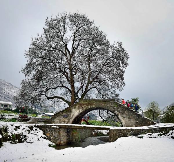 1754879882435201.jpg 9.jpg