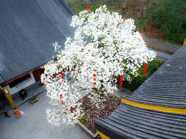 1754879890767981.jpg 10.jpg