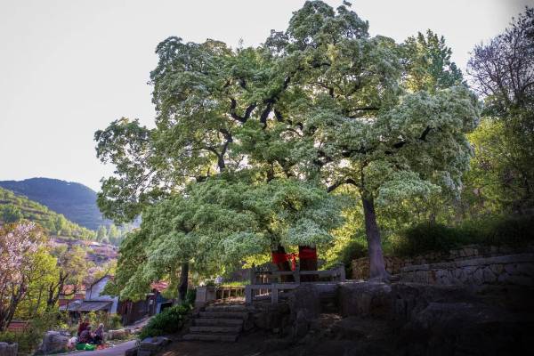 1754879896786809.jpg 11.jpg