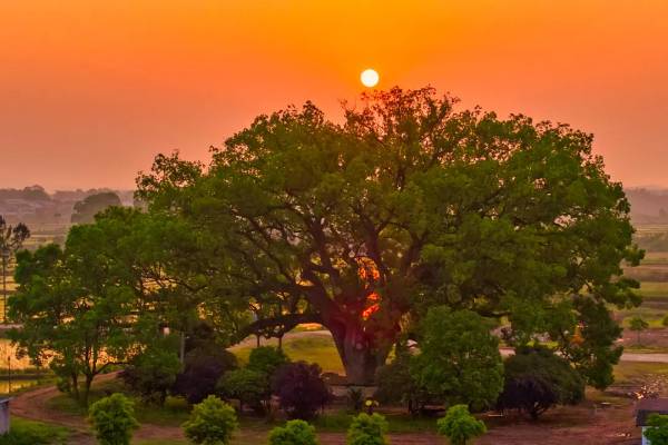 1754879916224052.jpg 14.jpg