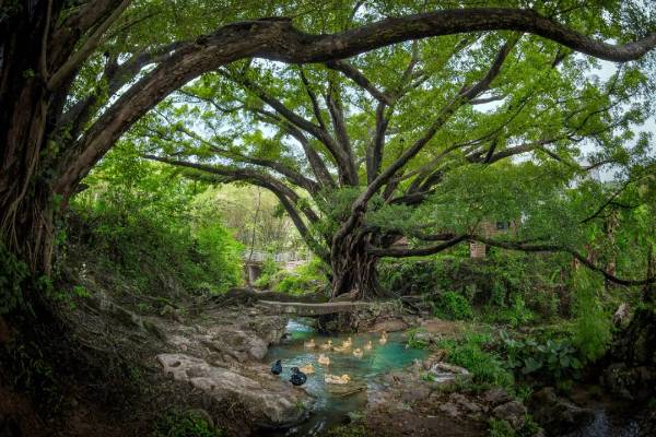 1754879933748954.jpg 15.jpg