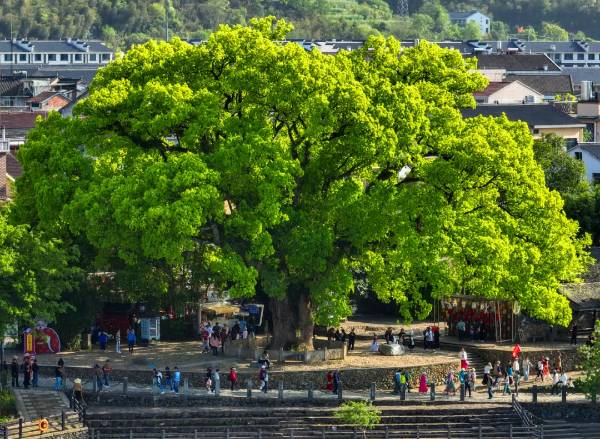 1754879961557590.jpg 18.jpg