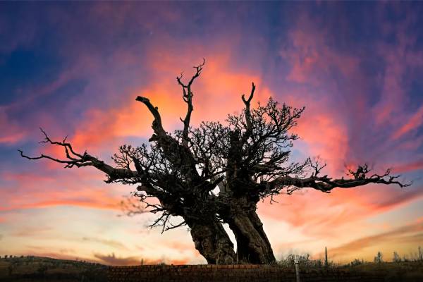 1754880143313355.jpg 22.jpg