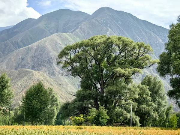 1754880168501764.jpg 25.jpg