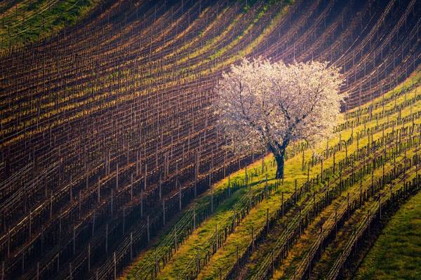 1754880183243921.jpg 27.jpg