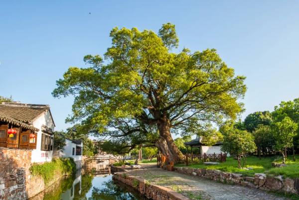 1754880211798136.jpg 30.jpg