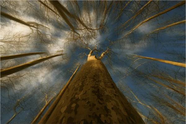 1754880234531236.jpg 33.jpg