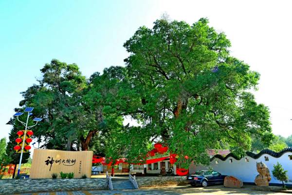 1754880258654314.jpg 35.jpg