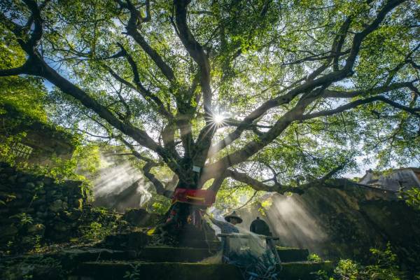 1754880315435663.jpg 41.jpg