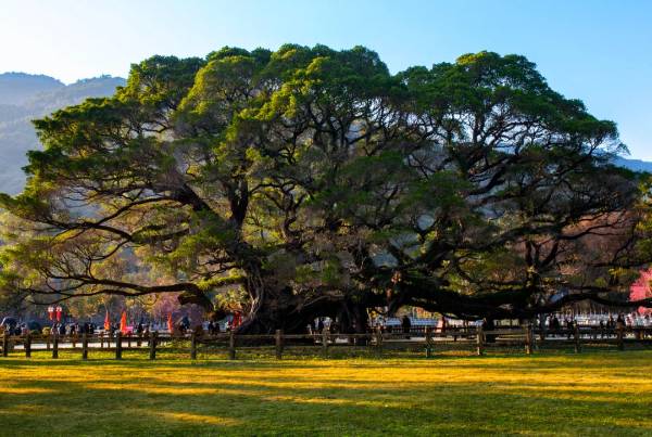 1754880321591983.jpg 42.jpg