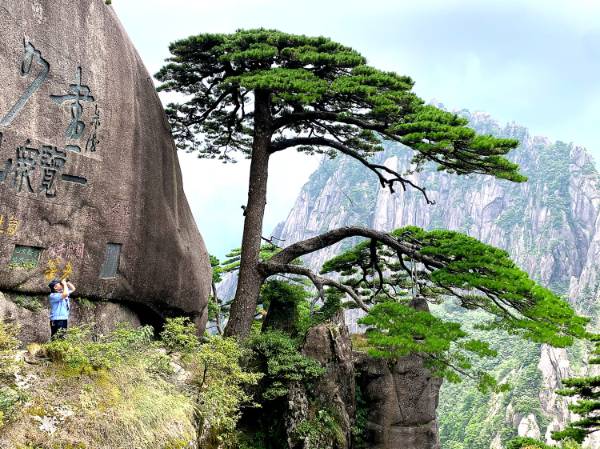 1754880695300482.jpg 2 (1).jpg