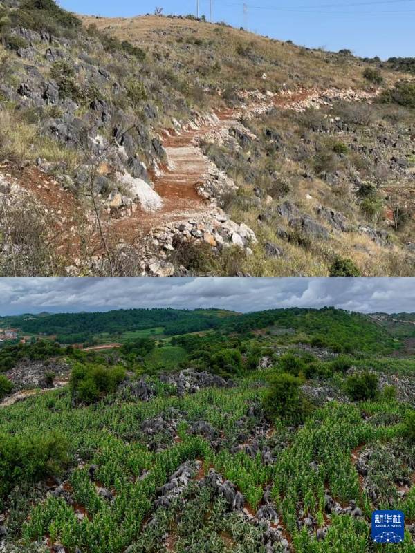 1754881082469916.jpg 5.jpg