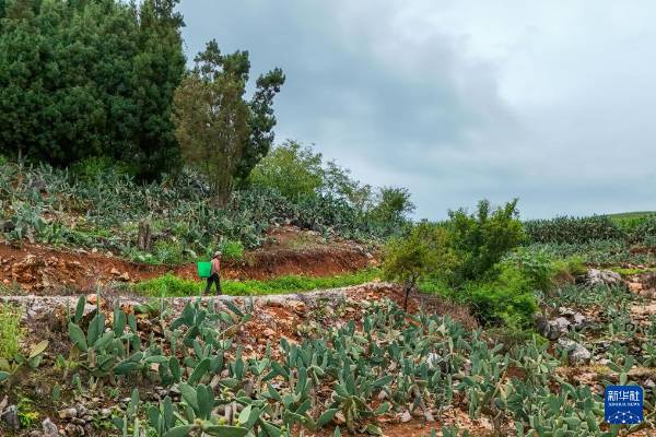 1754881089889806.jpg 6.jpg