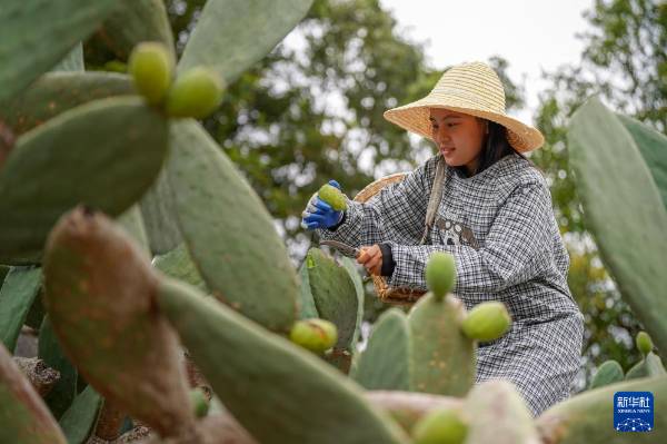 1754881101987538.jpg 8.jpg