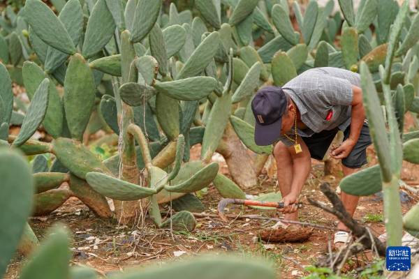 1754881116285918.jpg 10.jpg