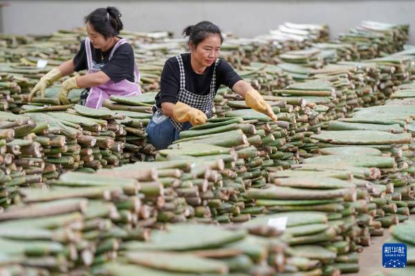 1754881122472625.jpg 11.jpg