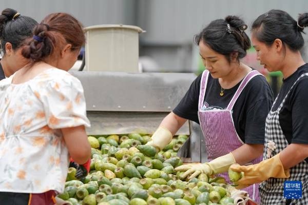 1754881127235389.jpg 12.jpg