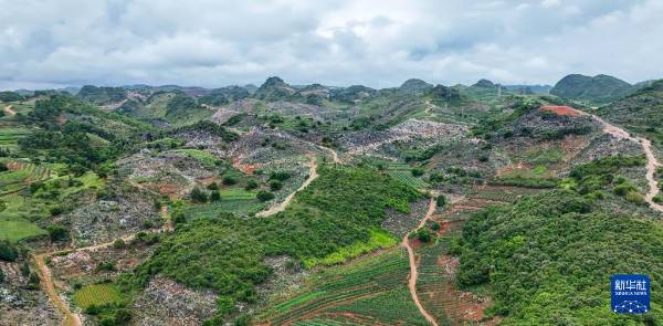 1754881133178010.jpg 13.jpg