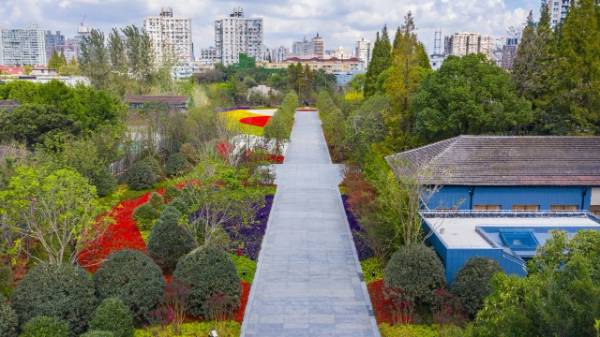 1754881822277751.jpg 4.jpg