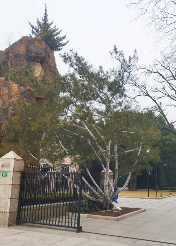 1754881830145350.jpg 5.jpg