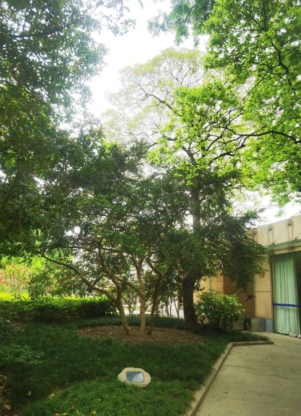 1754881837583614.jpg 6.jpg