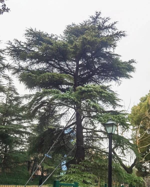 1754881844354286.jpg 7.jpg