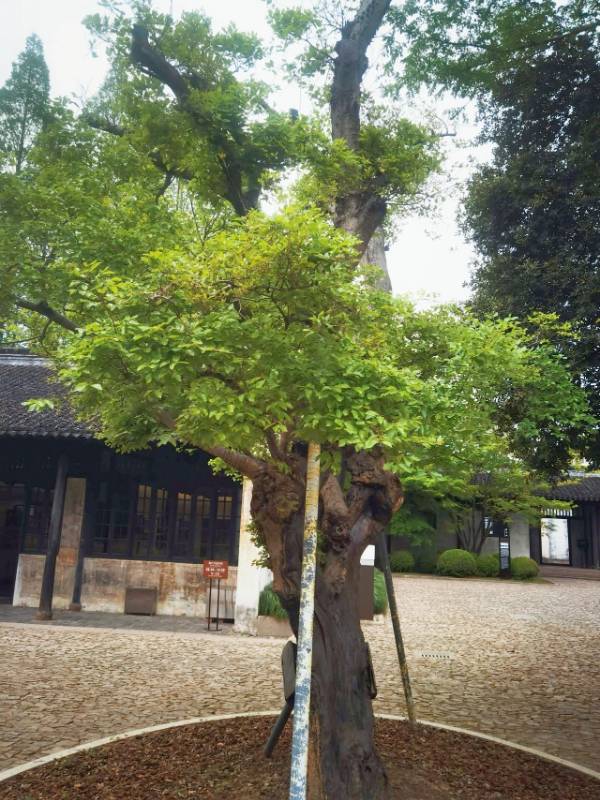 1754881851453063.jpg 8.jpg