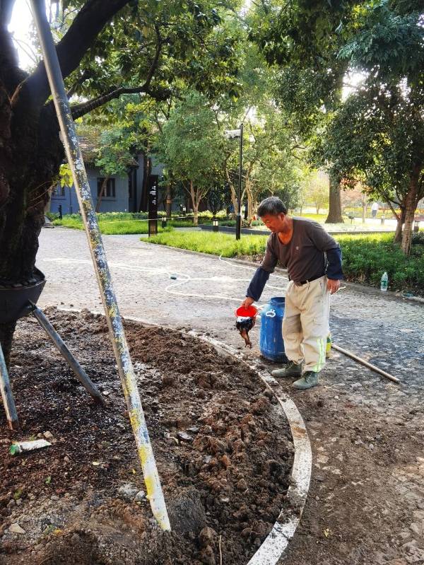 1754881884320758.jpg 10.jpg