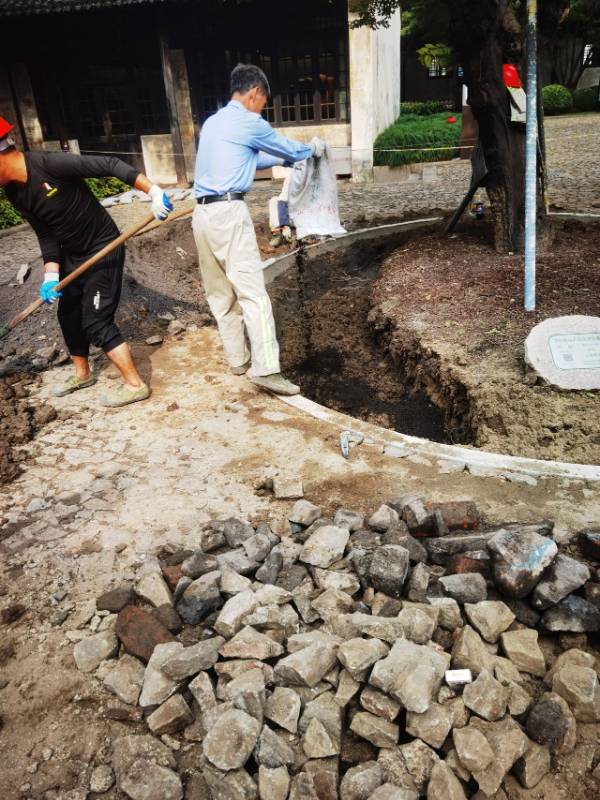 1754881887978815.jpg 11.jpg