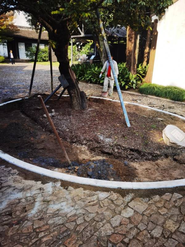 1754881891429220.jpg 12.jpg