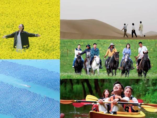 1754882336243150.jpg 3.jpg