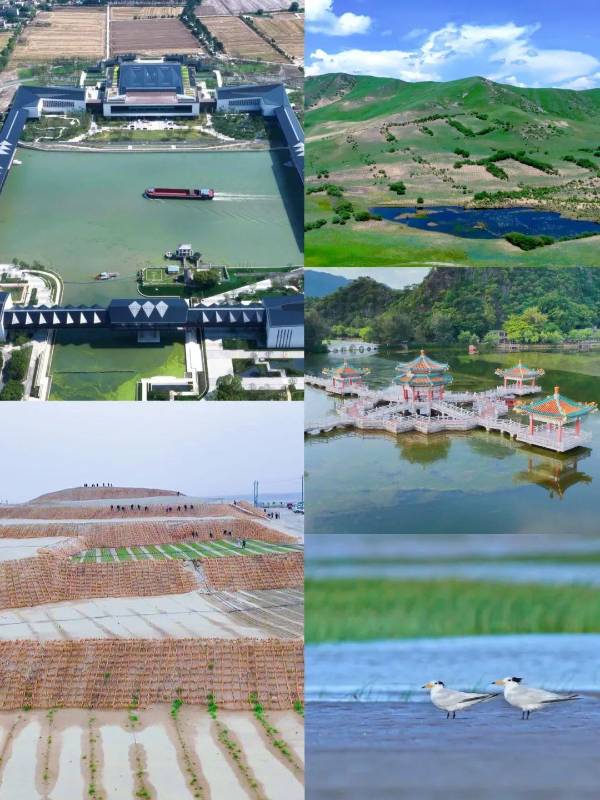 1754882342189651.jpg 4.jpg