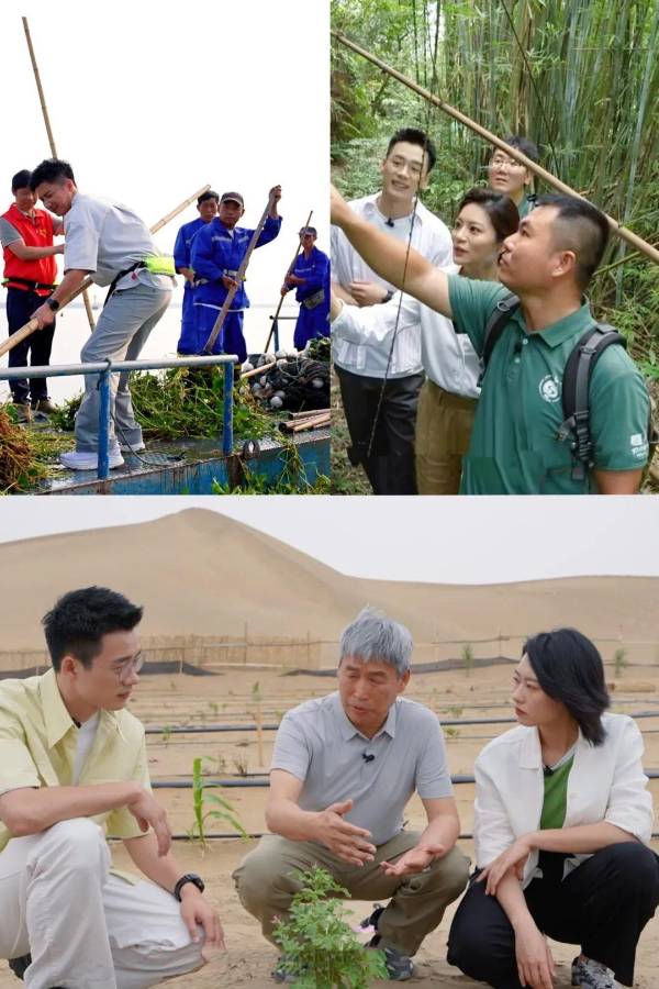 1754882374905192.jpg 6.jpg