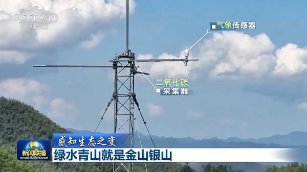 1754882726513546.jpg 1.jpg