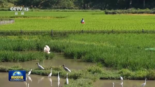 1754882753258858.jpg 5.jpg