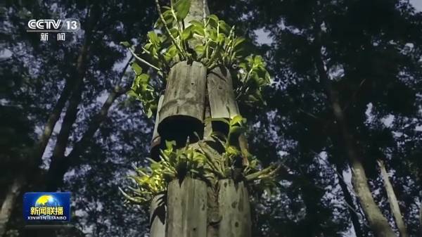 1754882759336204.jpg 6.jpg