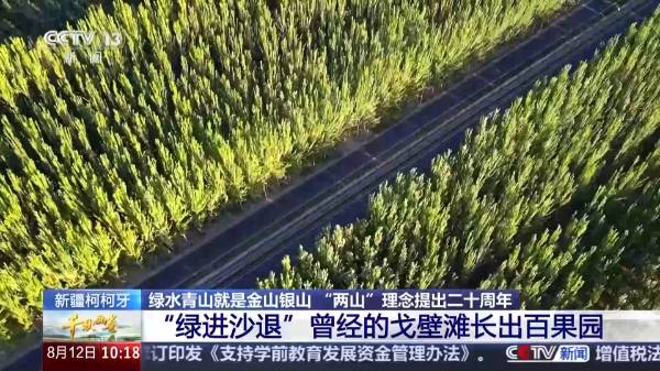 1755048969537758.jpg 2 (1).jpg