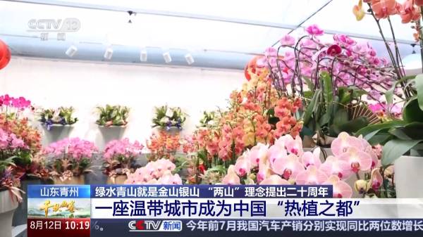 1755048976359231.jpg 3 (1).jpg