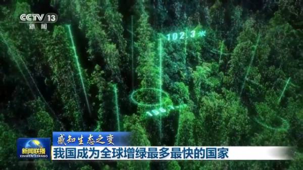 1755061957287078.jpg 11.jpg